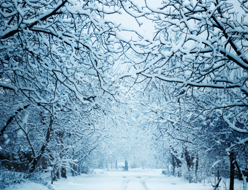 Menstruation : Your Winter