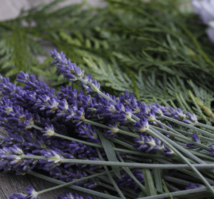 Copy-of-Untitled-min