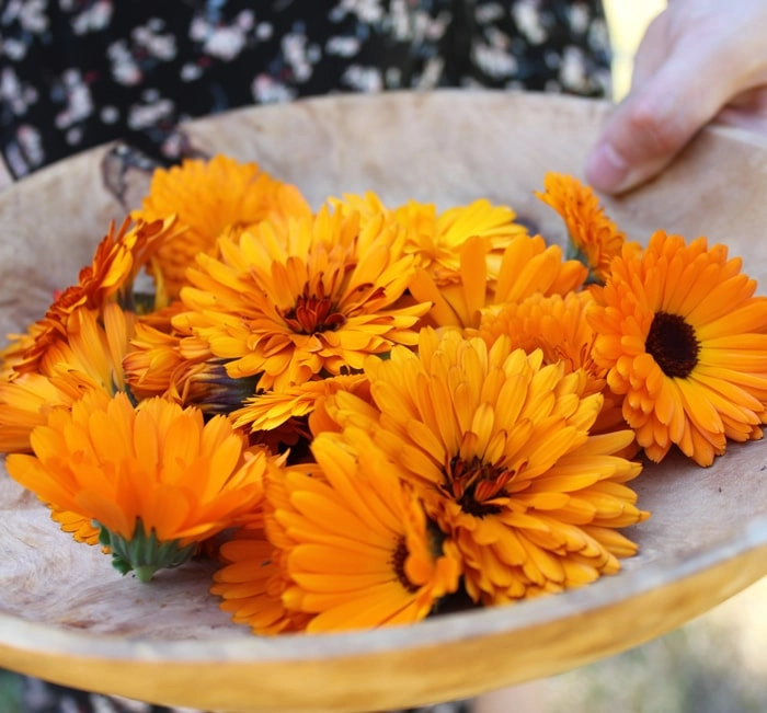 Ozge-stephen-acupuncture-Blog-post-Summer-Lovin’-for-the-Self-min