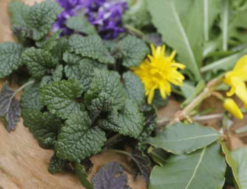 Creating A Spring Within