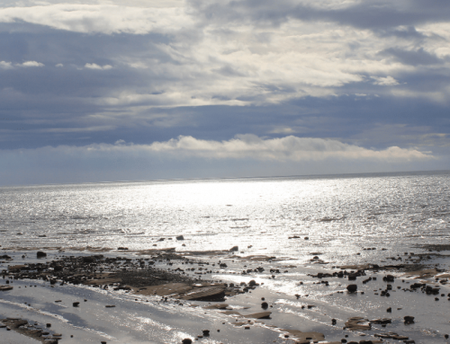 Summertime + The Fire Within